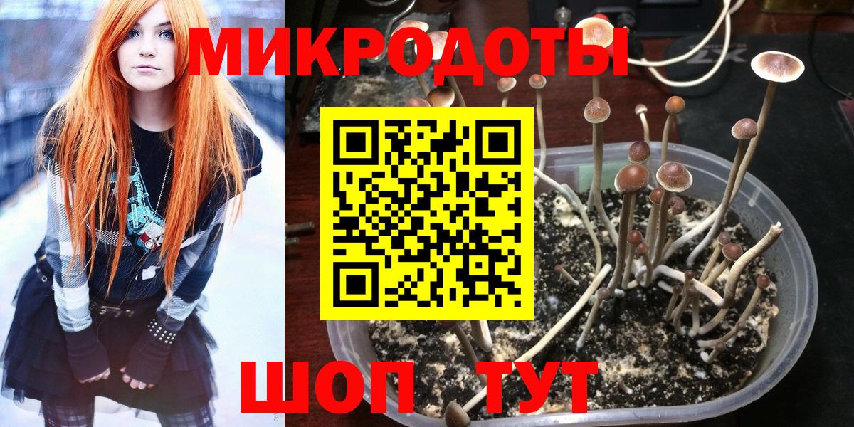 Псилоцибиновые грибы GOLDEN TEACHER Губкин