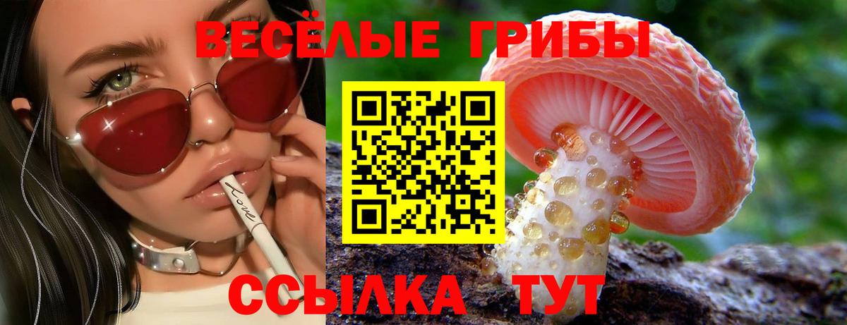 Губкин  Галлюциногенные грибы Cubensis  Псилоцибиновые грибы MAGIC MUSHROOMS  Вход с VPN 